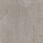 Nextone grey line