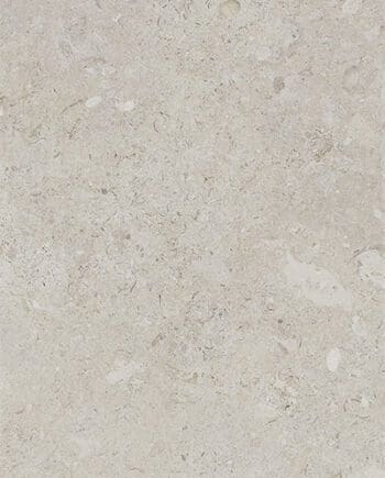 Happy Floors Carolina Blanco 24x48 10522